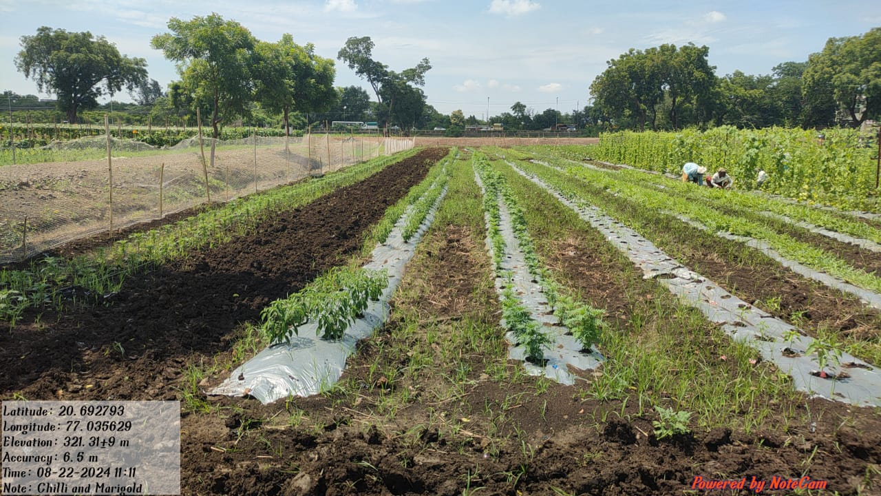 Field Visit  PDKV Akola