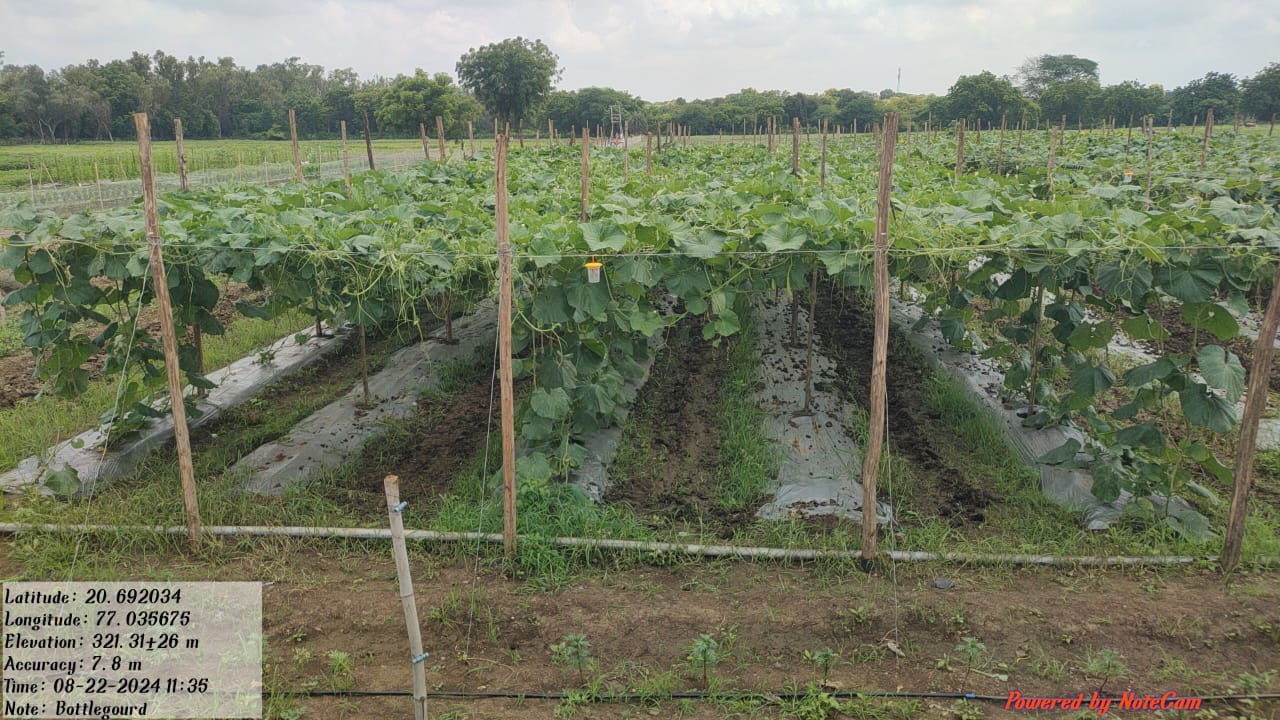 Field Visit  PDKV Akola