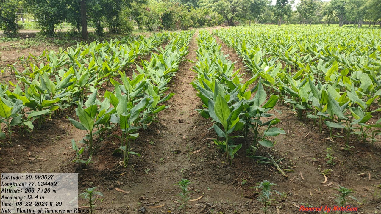 Field Visit  PDKV Akola