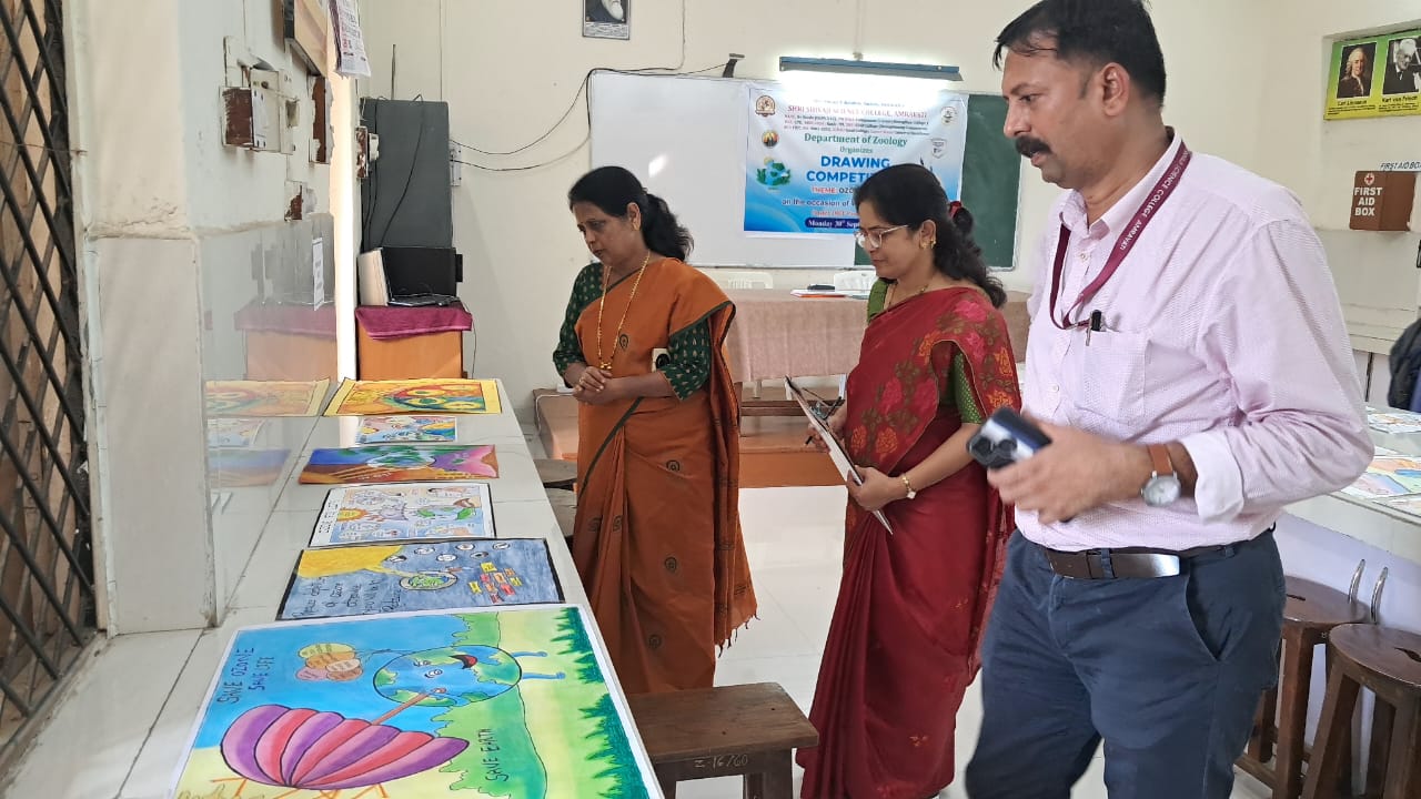 EVALUATION OF PARTICIPANT DRAWINGS