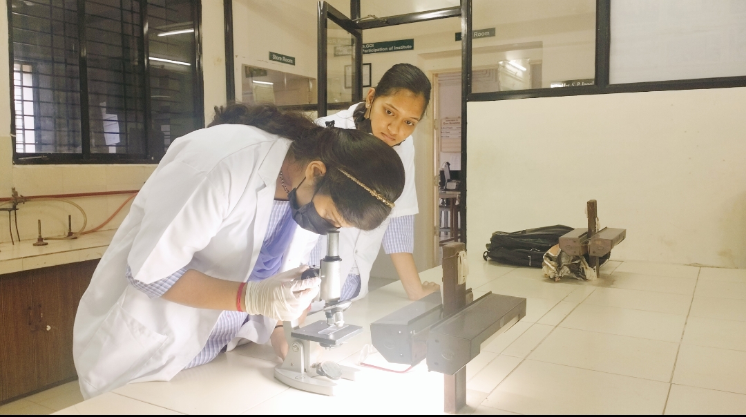 Student observing Slide in Microscope 1