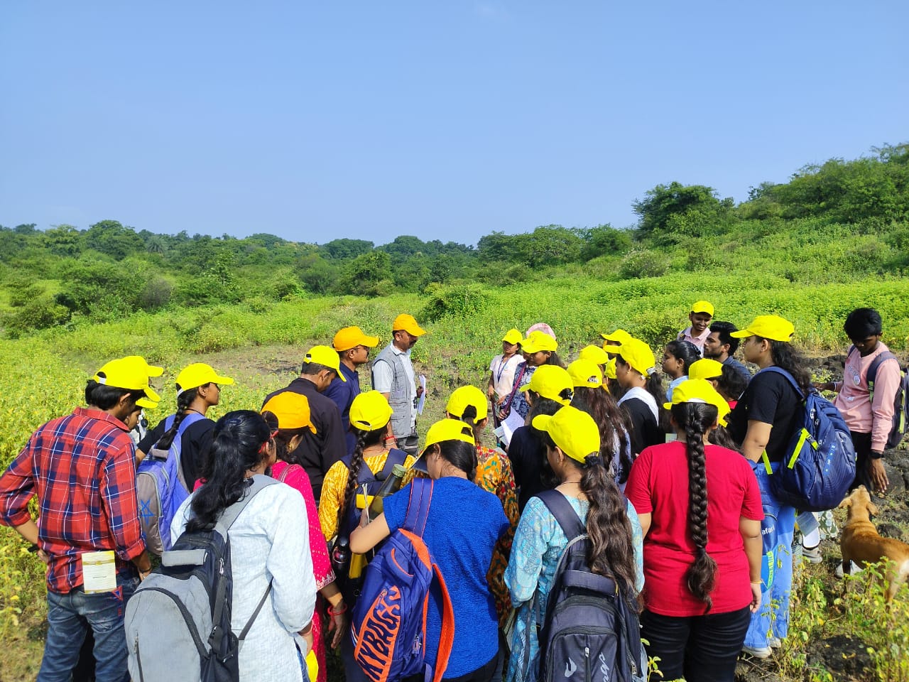 Students observing butterfly species on field