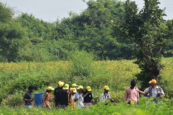 Students observing the butterfly behavior