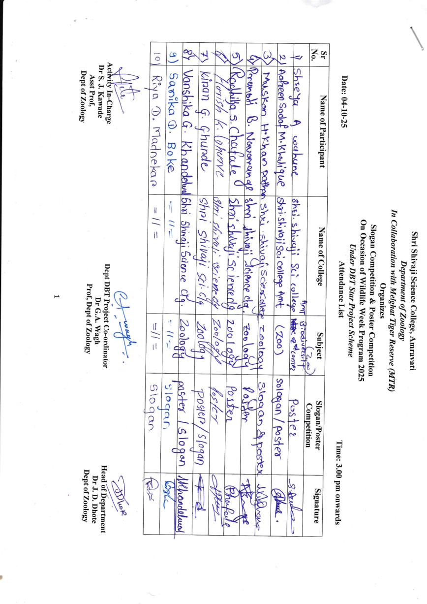 Sheet