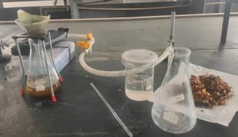 EXTRACTION PROCESS