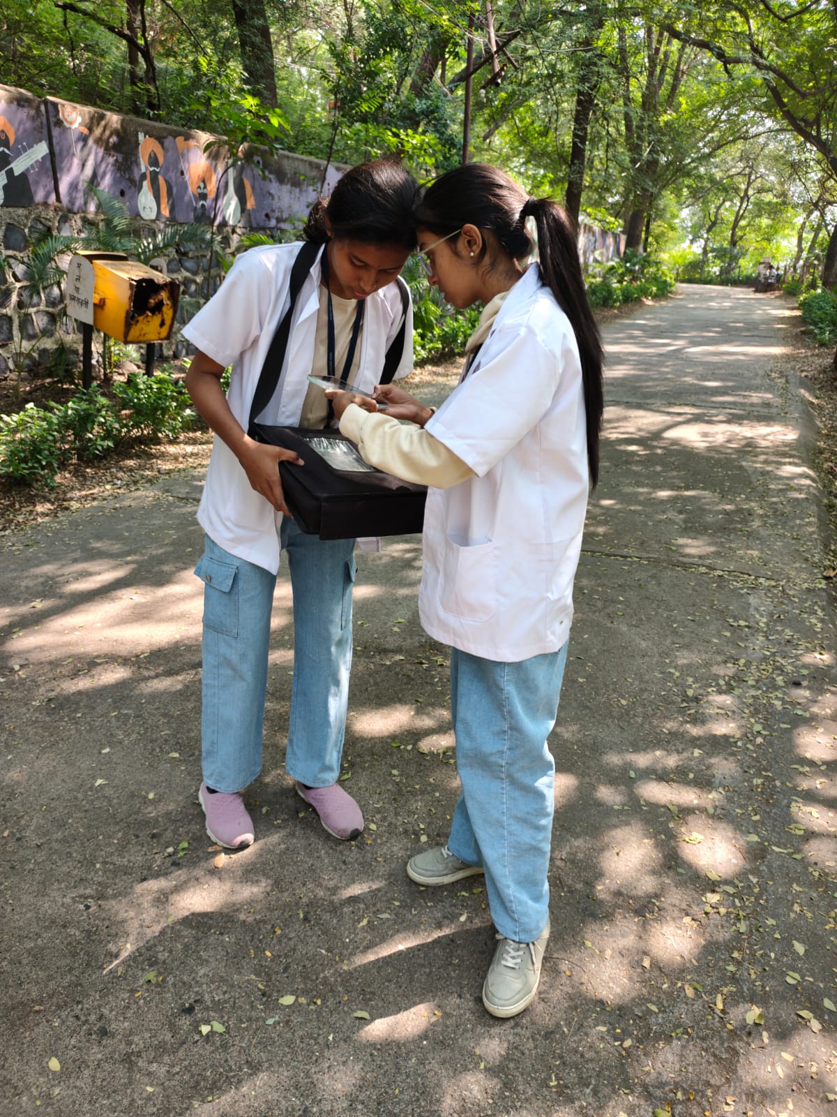 CO2 measurement at Maltekadi